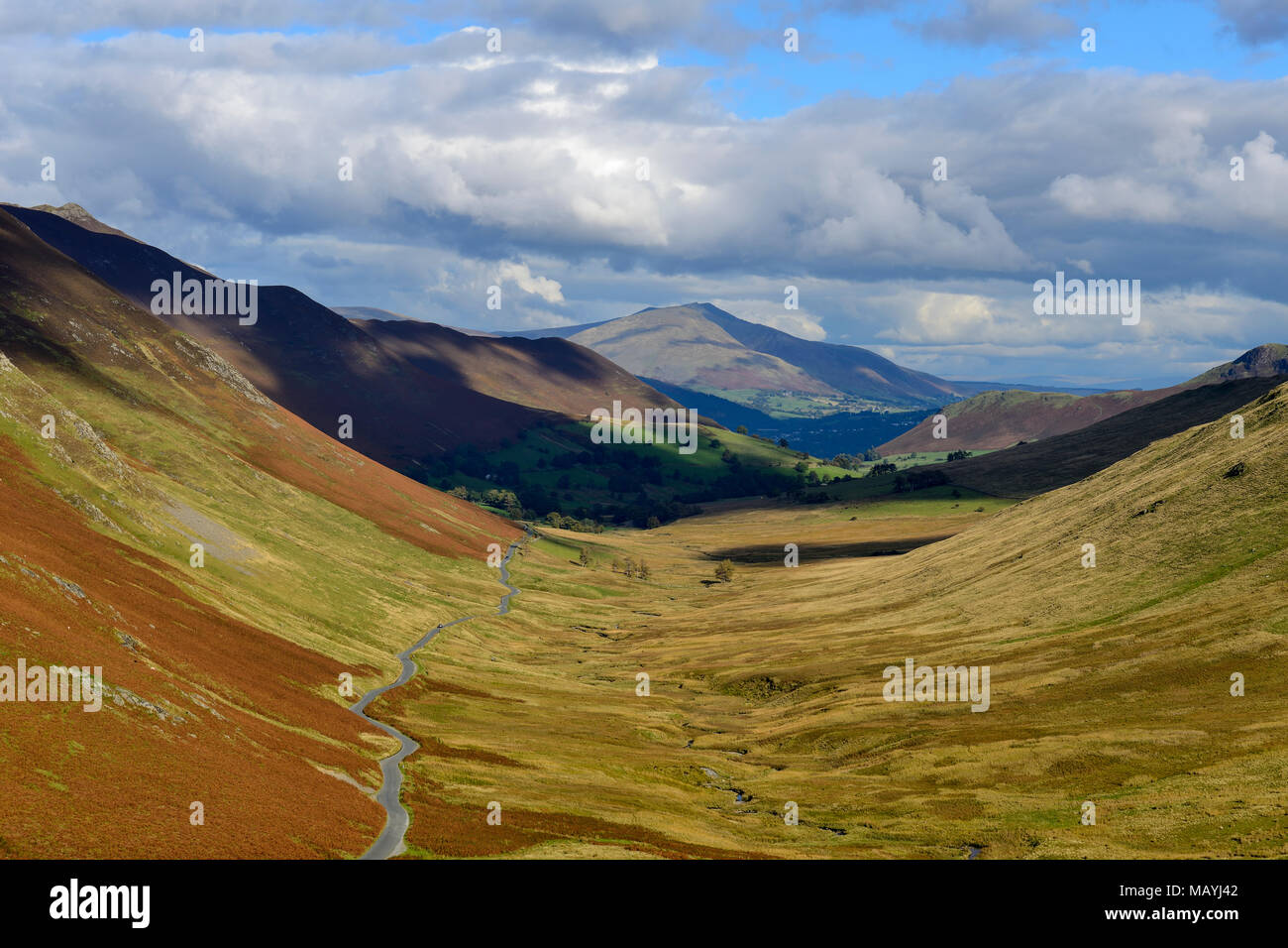 Of newlands road hires stock photography and images Alamy