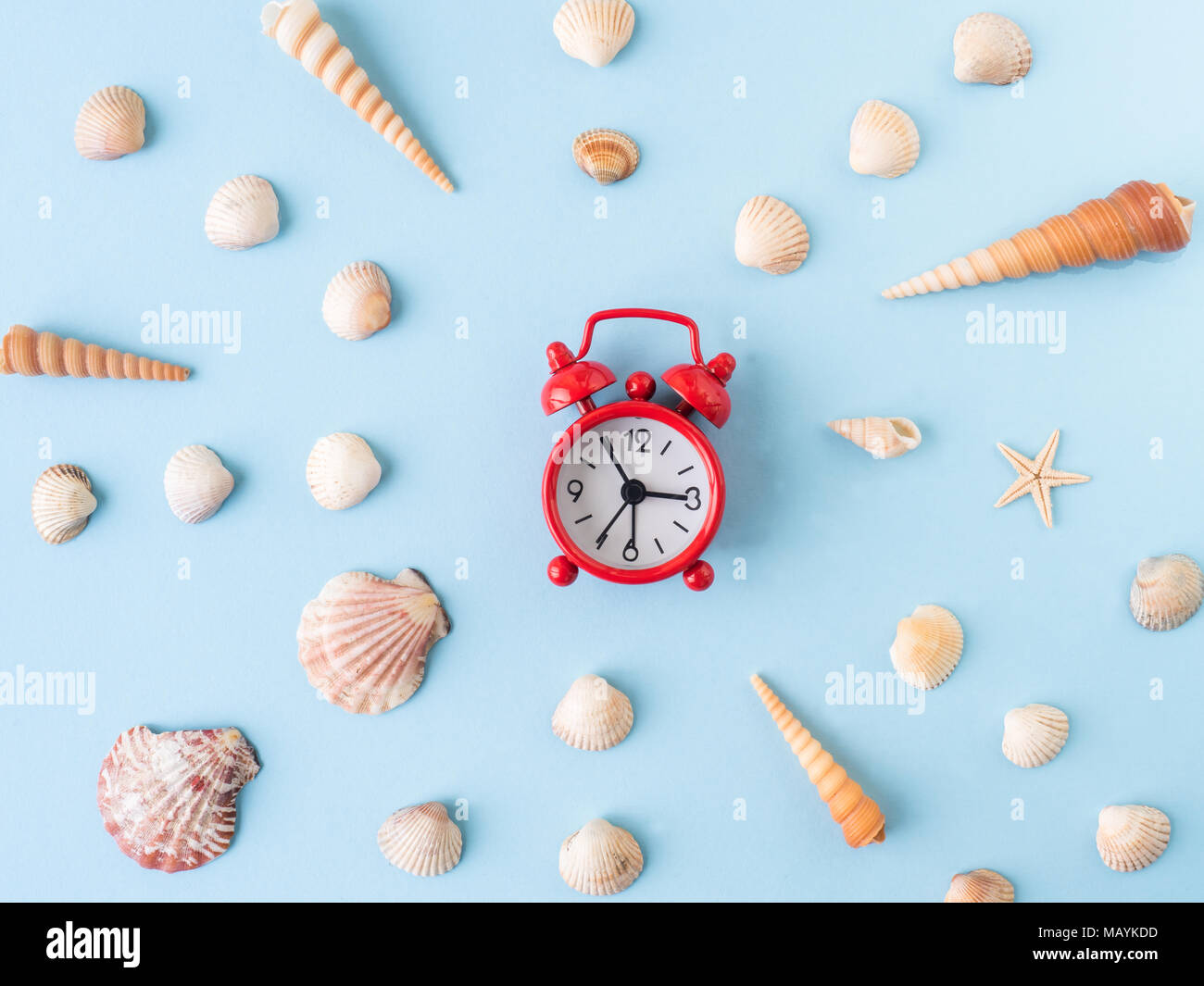 Many different sea shells on a blue background Stock Photo