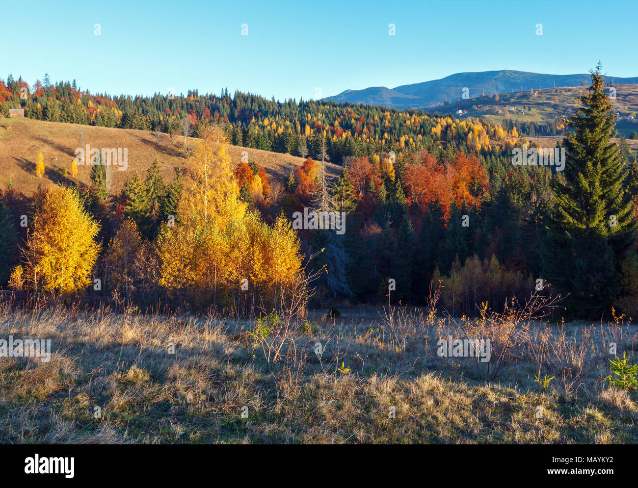 Morning Carpathian mountains and village hamlets on slopes (Yablunytsia village and pass, Ivano-Frankivsk oblast, Ukraine). Stock Photo