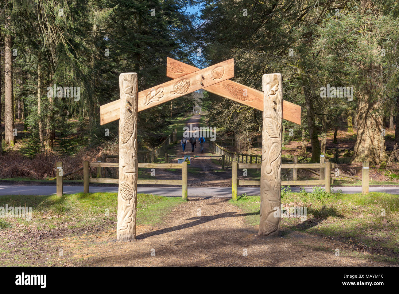New england trees in hi-res stock photography and images - Alamy