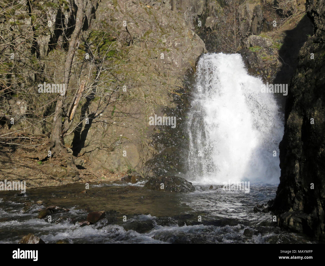 Dog Creek Falls in Washington Stock Photo - Alamy