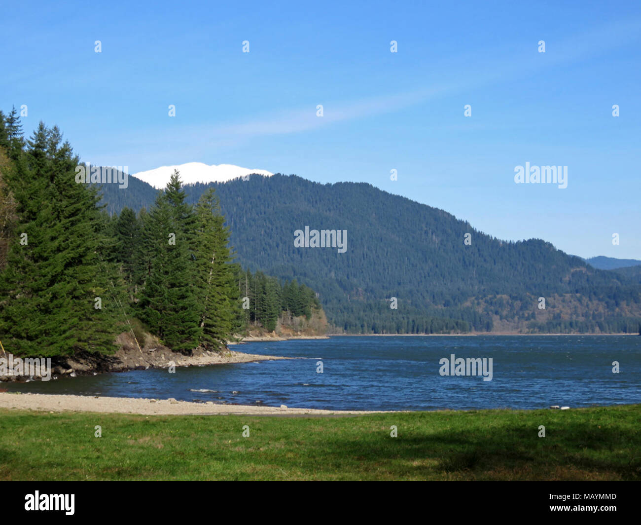 Yale Lake in Cougar, WA Stock Photo Alamy