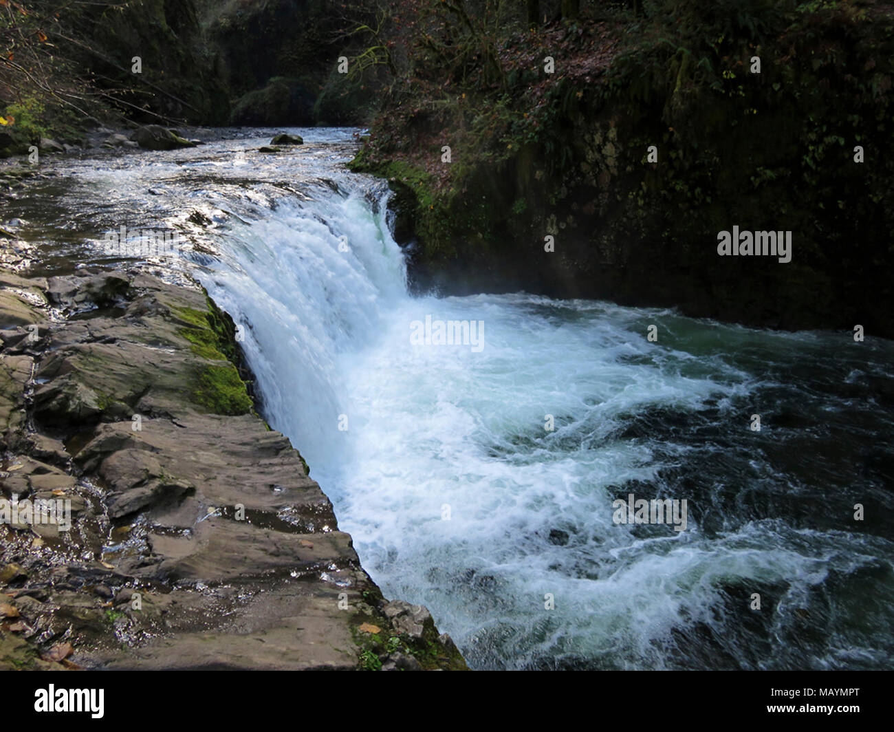 Lower Punch Bowl Falls at Eagle Creek in Oregon Stock Photo Alamy