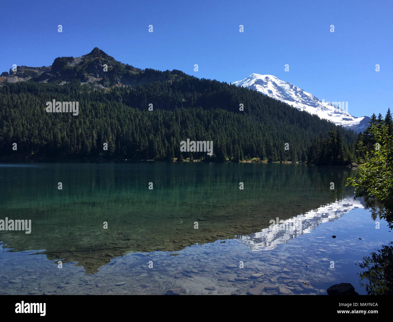 Mowich Lake at Mt Rainier NP in Washington Stock Photo