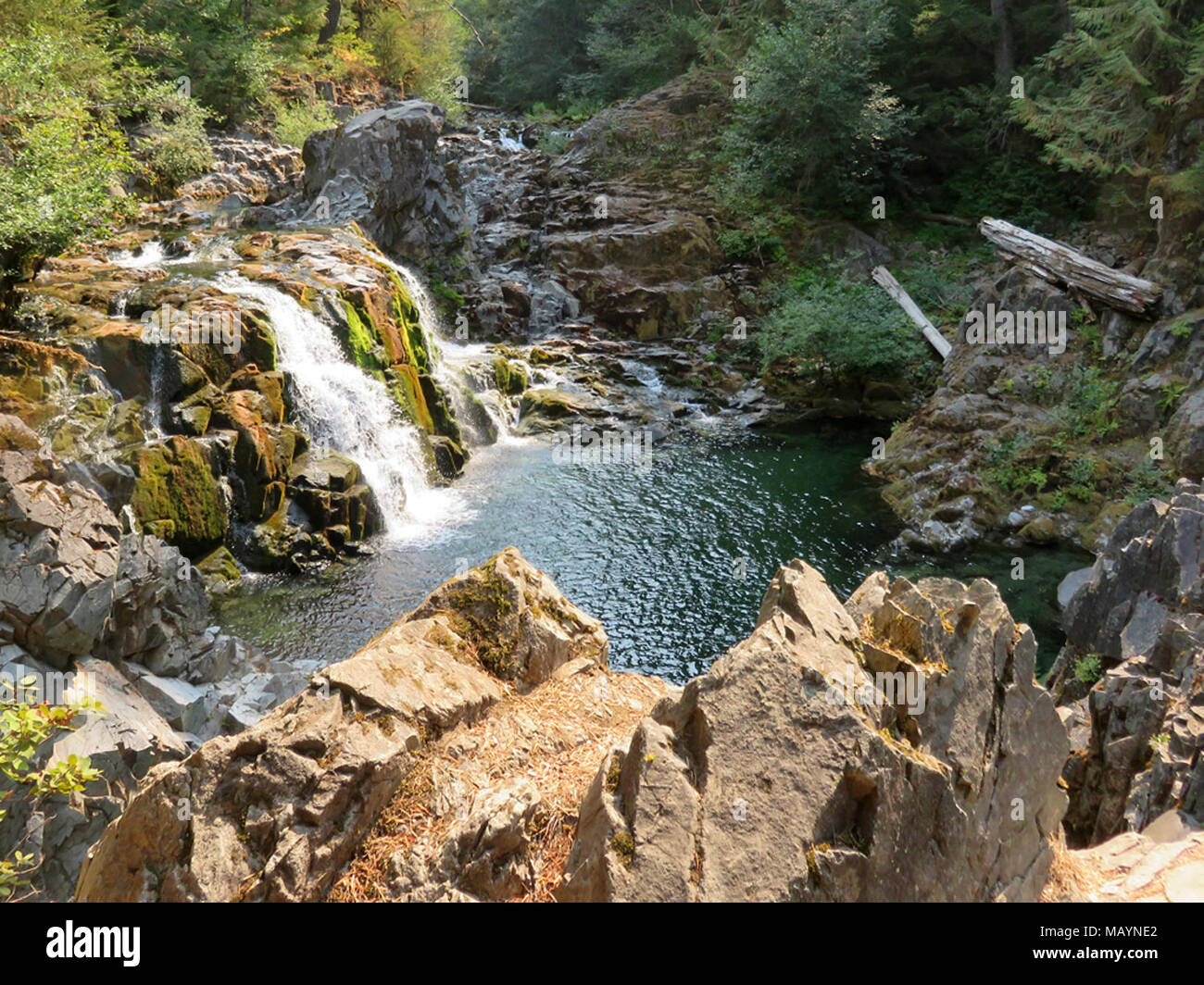 Sawmill Falls at Santiam River in Oregon Stock Photo