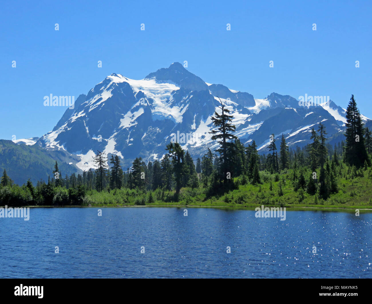 Picture Lake and Mt Shuksan at Mt Baker-Snoqualmie NF in Stock Photo