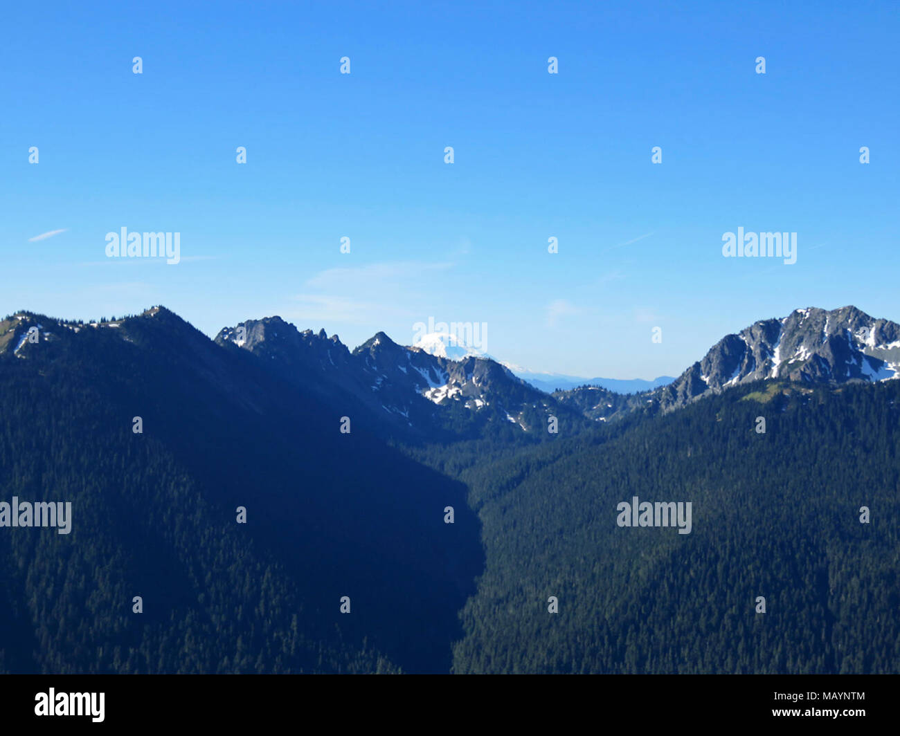 Mt Adams in Washington Stock Photo - Alamy