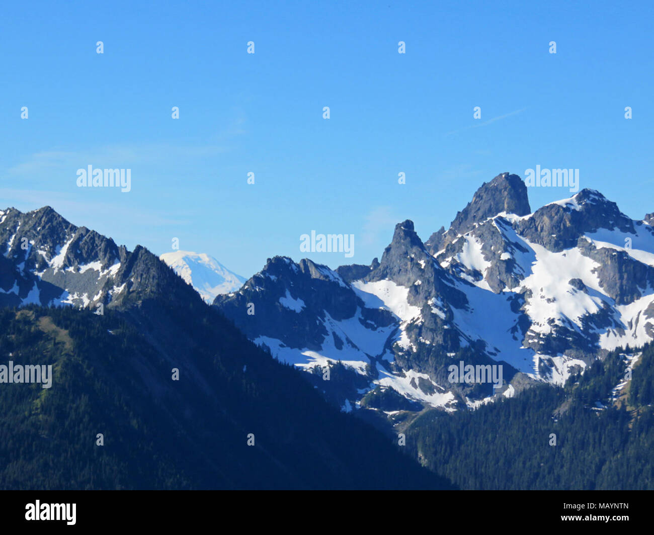 Mt Adams in Washington Stock Photo - Alamy