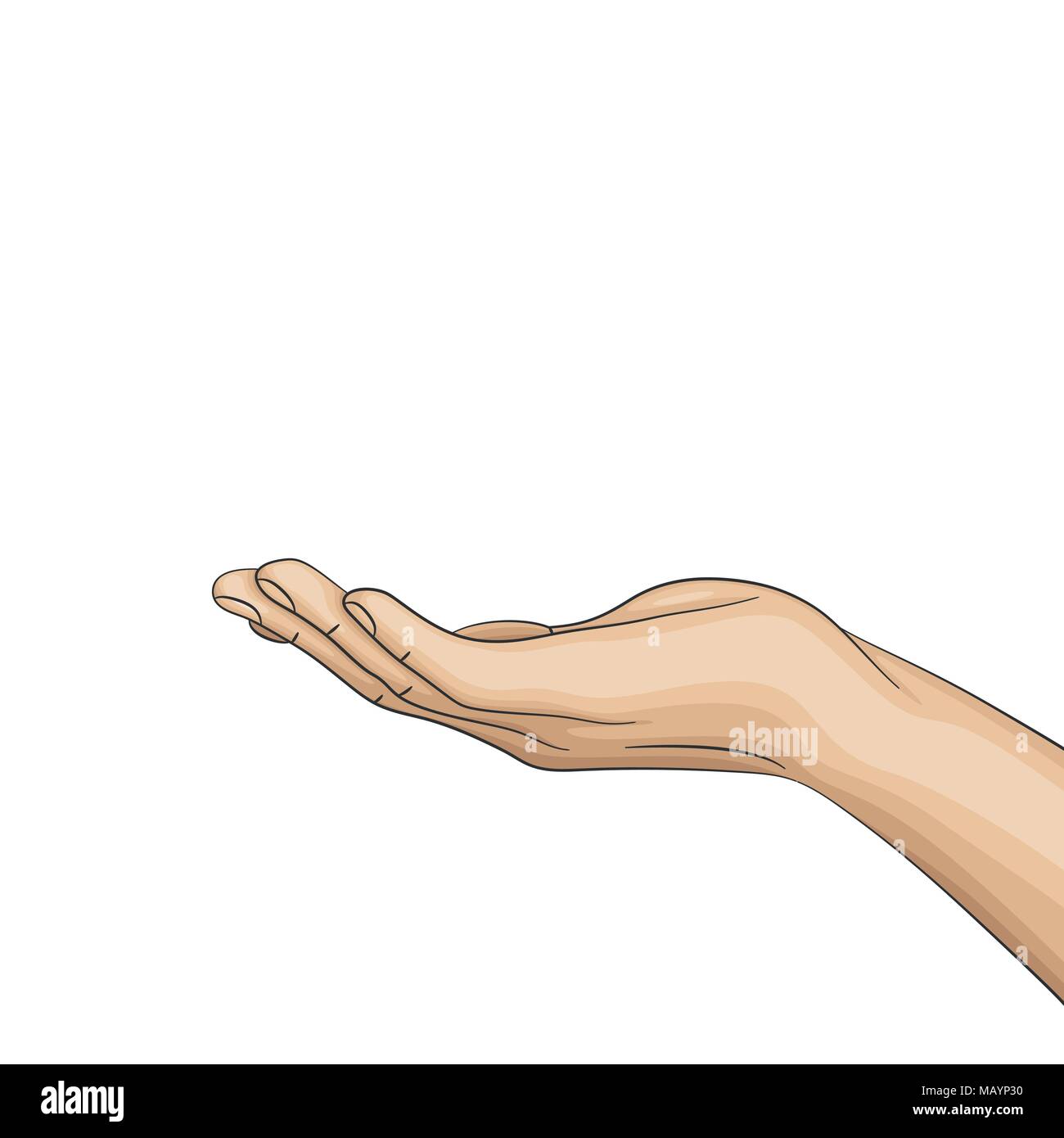 Hand turned the palm upward, open hand.  Stock Vector