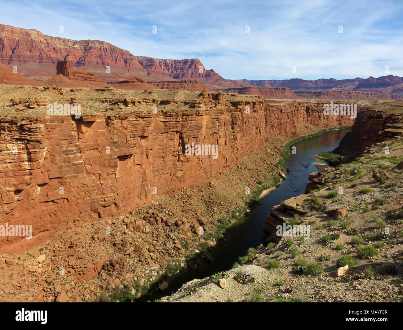 Colorado River at Marble Canyon in Arizona Stock Photo