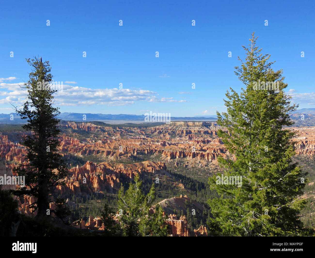 Bryce Canyon NP in Utah Stock Photo