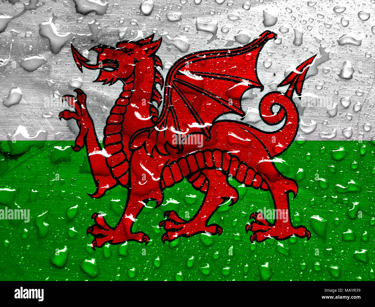 flag of Wales with rain drops Stock Photo