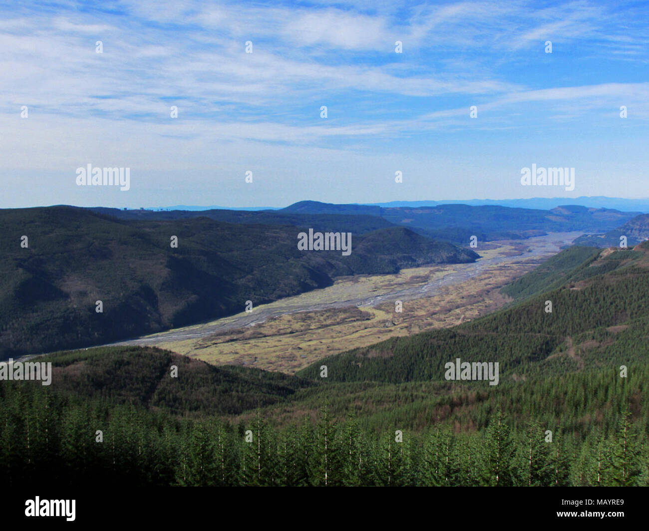Toutle River Vally at Mt St Helens in Washington Stock Photo