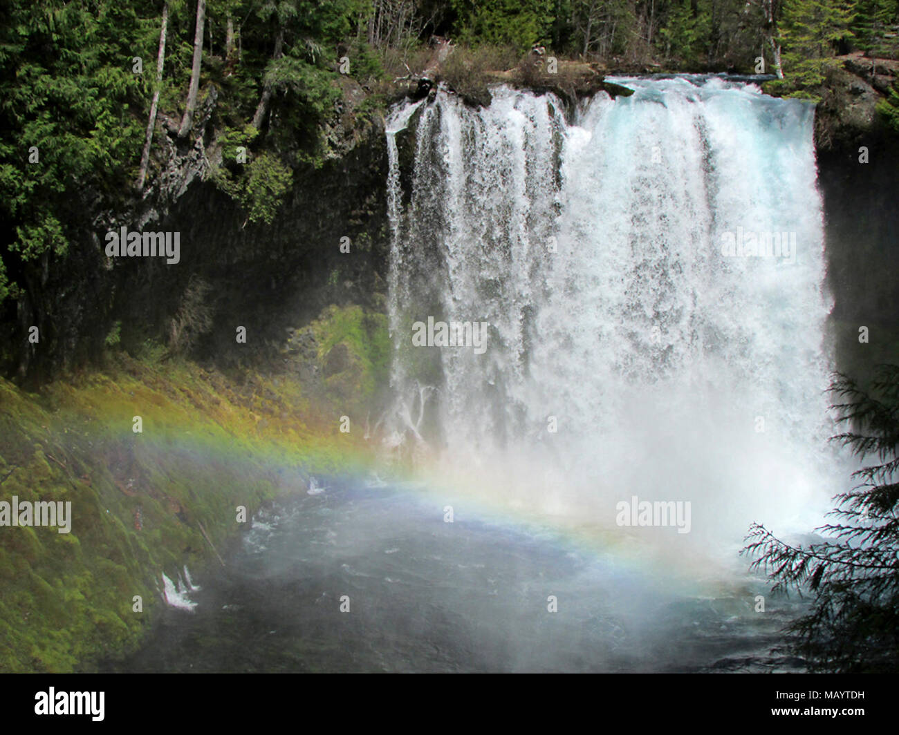 Koosah Falls in OR Stock Photo - Alamy