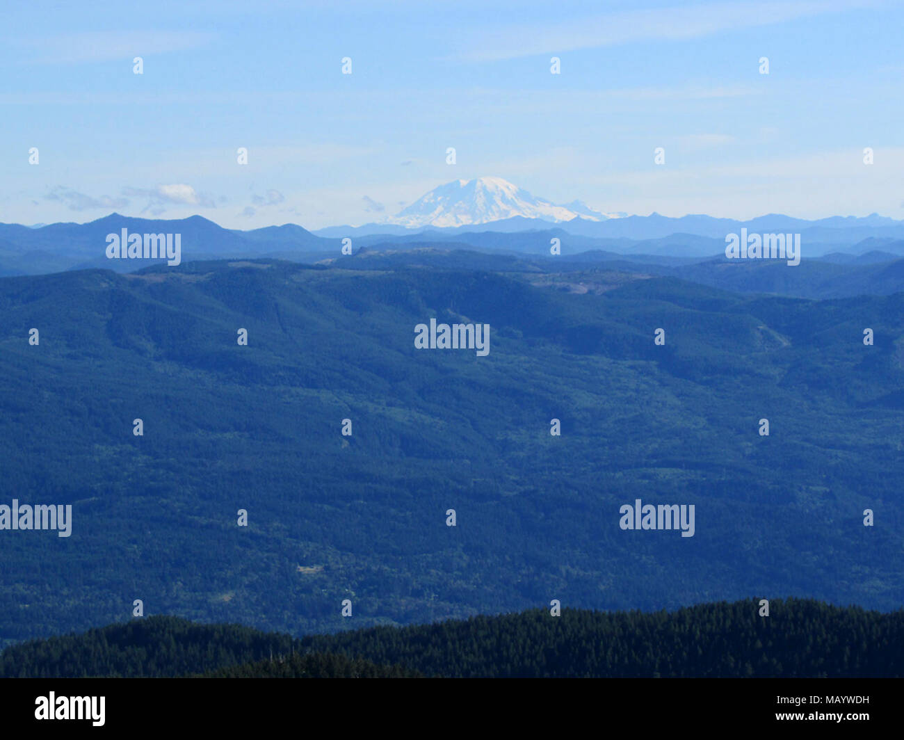 View of Mt Rainier from Larch Mt in OR Stock Photo