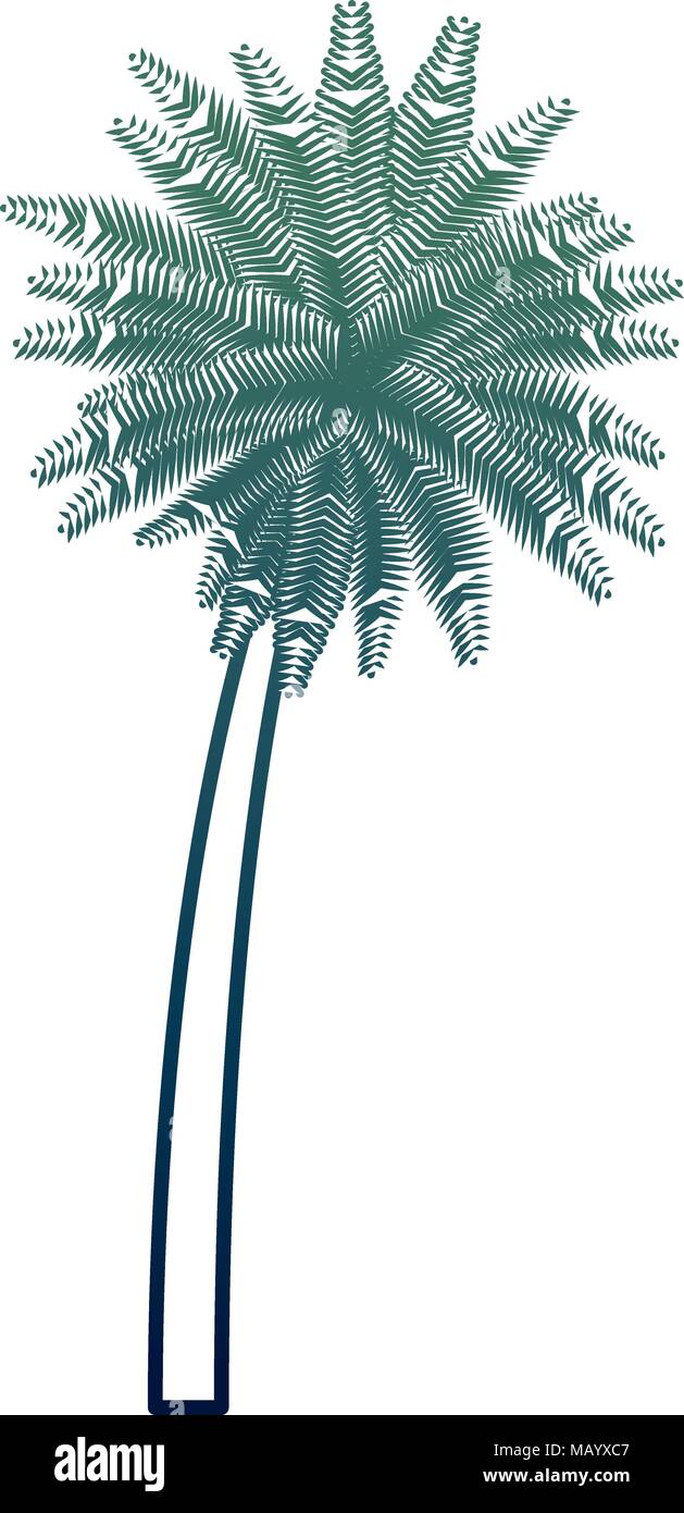 tropical palm leaves foliage exotic plant Stock Vector Image & Art - Alamy