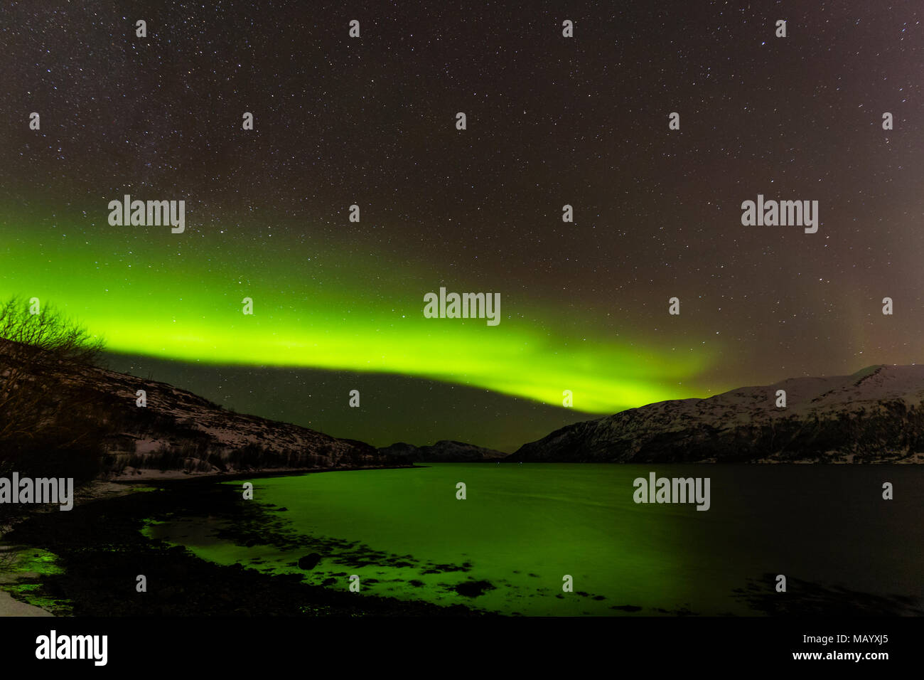 Northern Lights over snow covered mountains, near Tromso, Norway Stock Photo