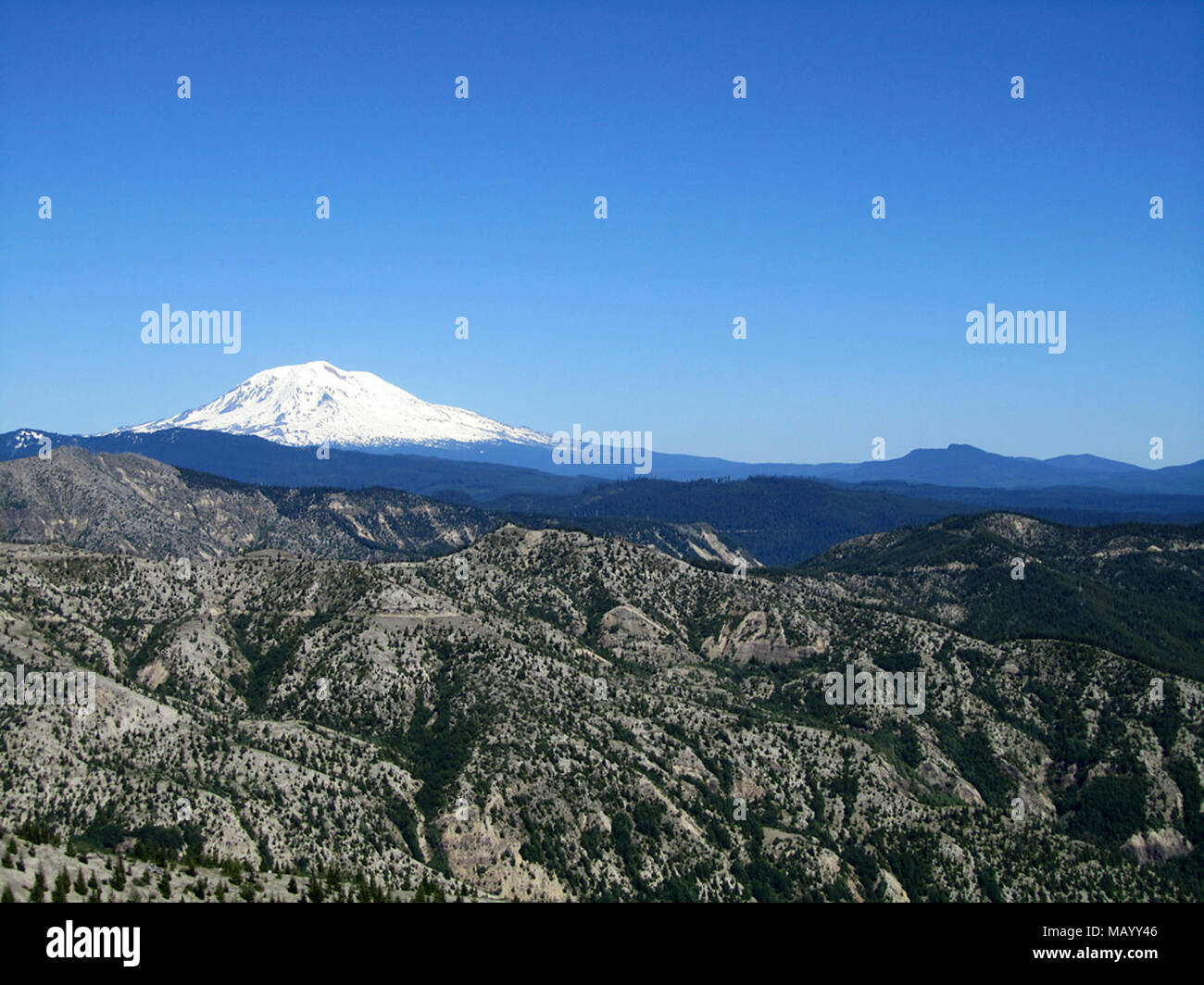Mt Adams in Washington Stock Photo - Alamy