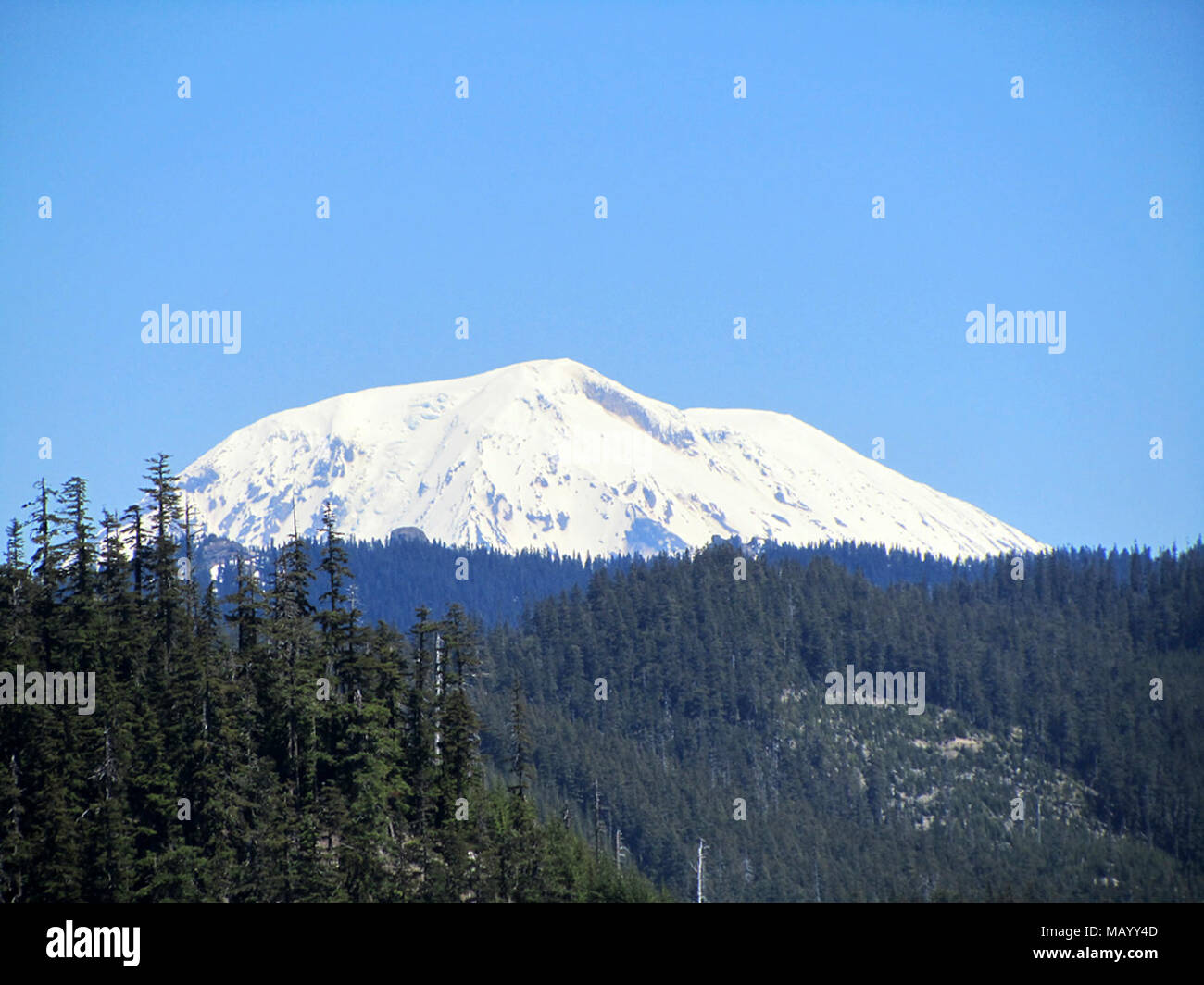 Mt Adams in Washington Stock Photo - Alamy