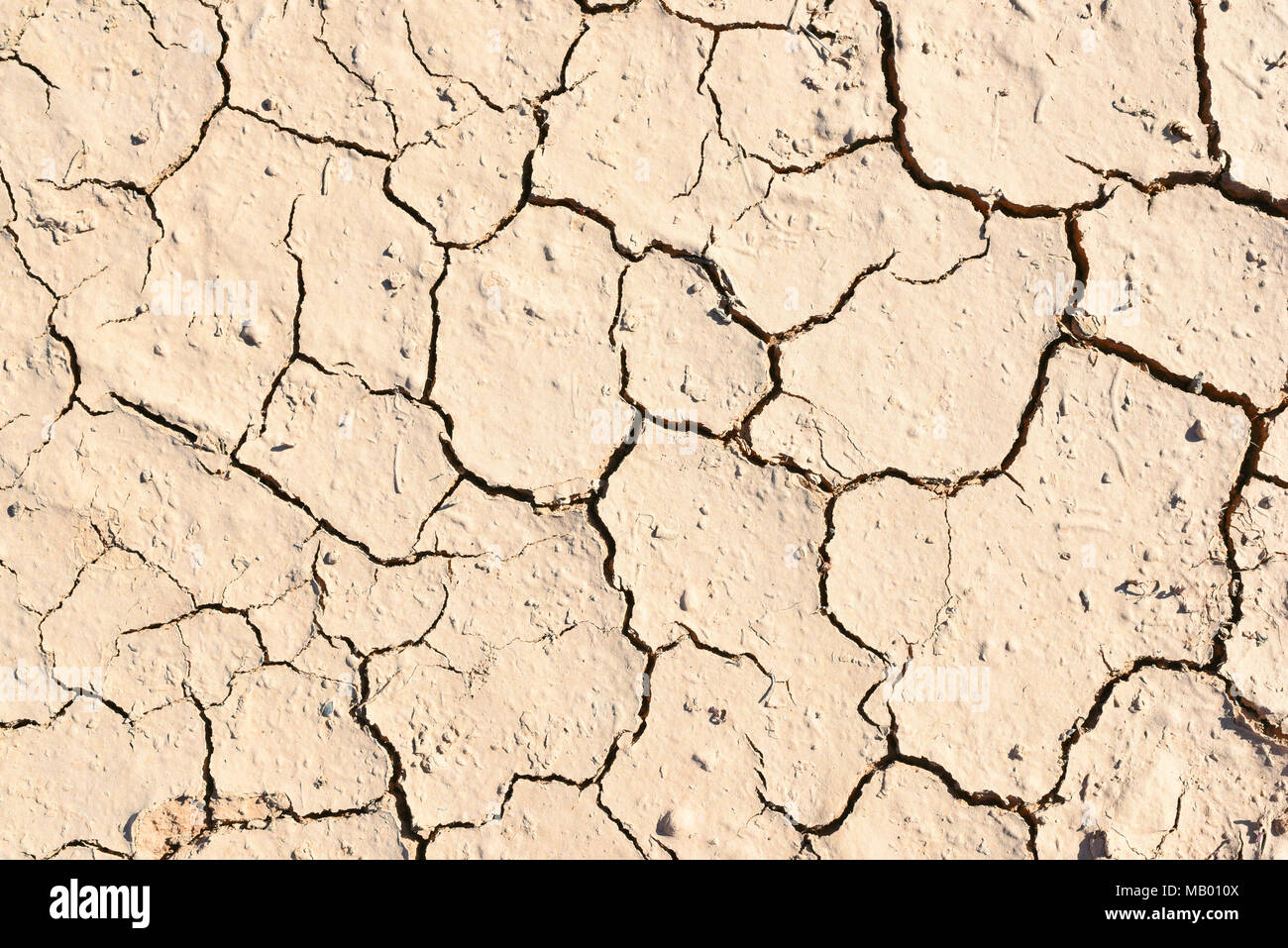 Cracked, drought ground or desert background. Dry land with cracks. Stock Photo