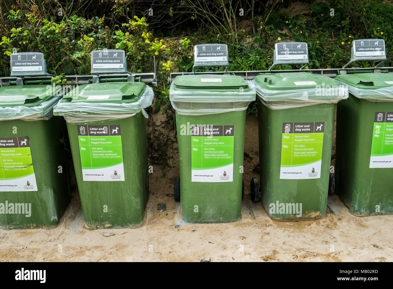Can You Put Dog Waste In Green Bin