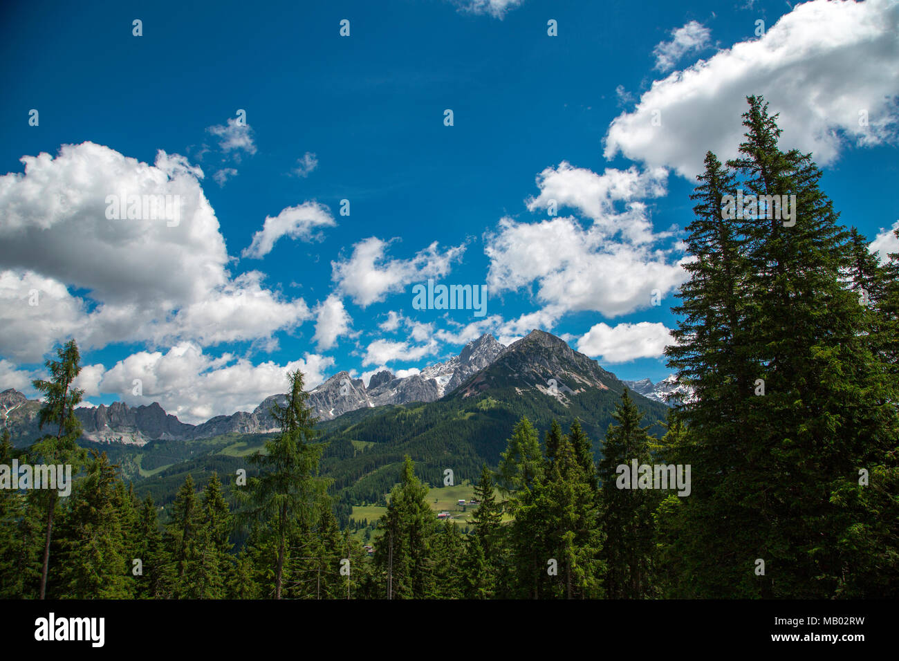 Mountains surrounded by forest in Austria. Stock Photo