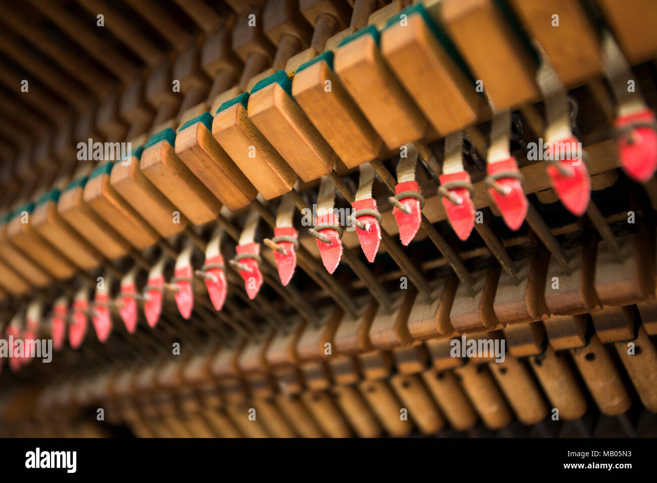 Detail of inside of piano for tuning. Stock Photo