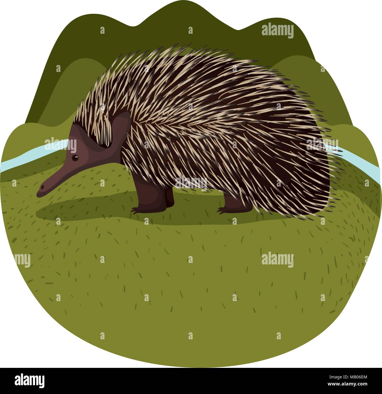 wild echidna australian creature in the camp Stock Vector Image & Art ...