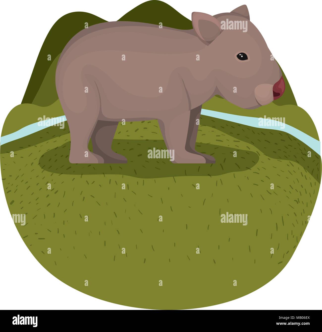 wild wombat australian creature in the camp Stock Vector Image & Art ...