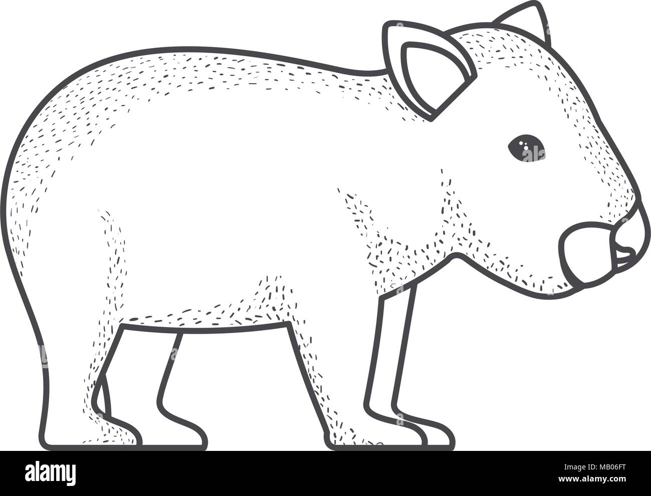 wild wombat australian creature Stock Vector Image & Art - Alamy
