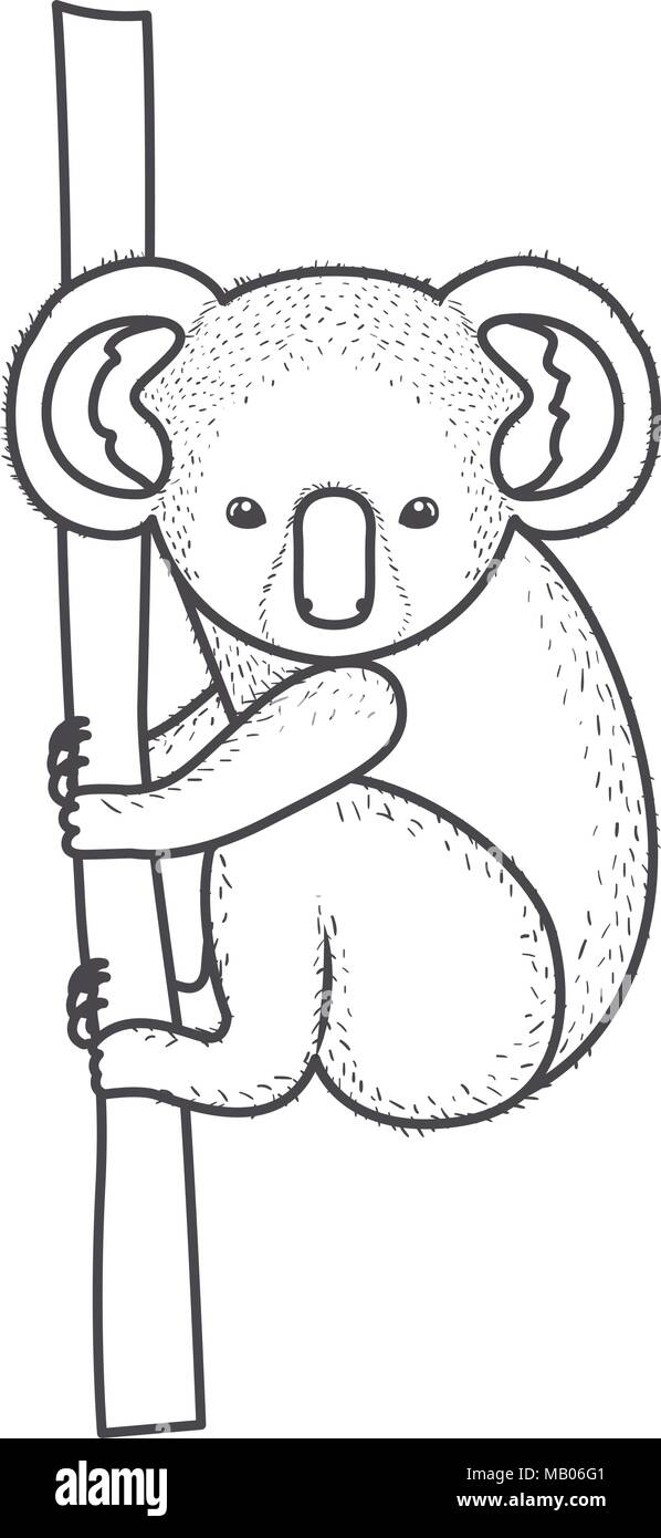 Wild Koala Australian Creature Hanging In Tree Stock Vector Art