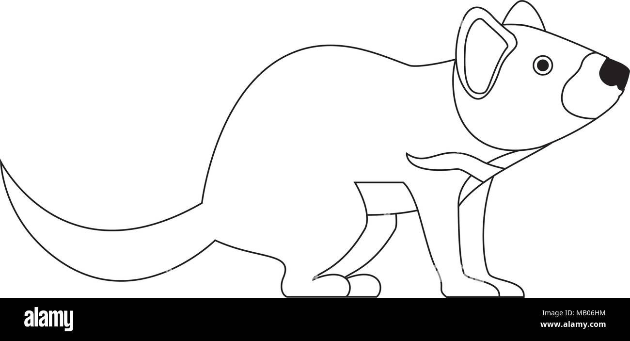 Tasmanian devil Black and White Stock Photos & Images - Alamy