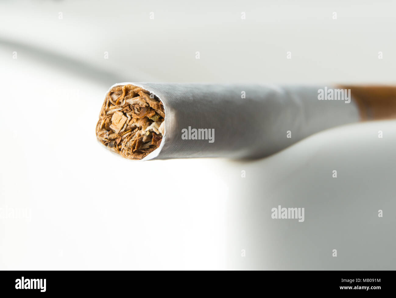 Close up of the tobacco inside a cigarette Stock Photo Alamy