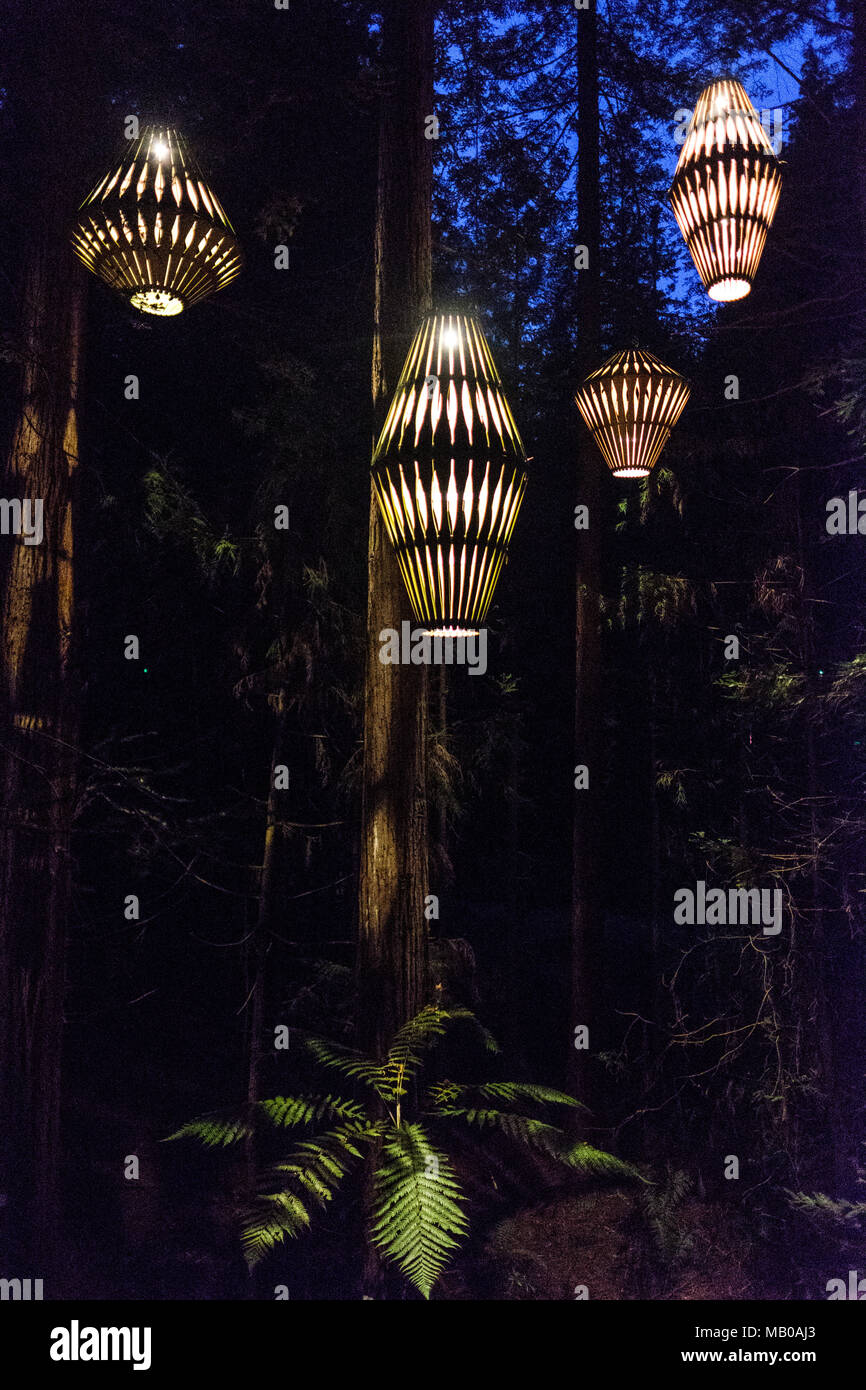 Rotorua, New Zealand November 11, 2017 Outdoor Lighting by David