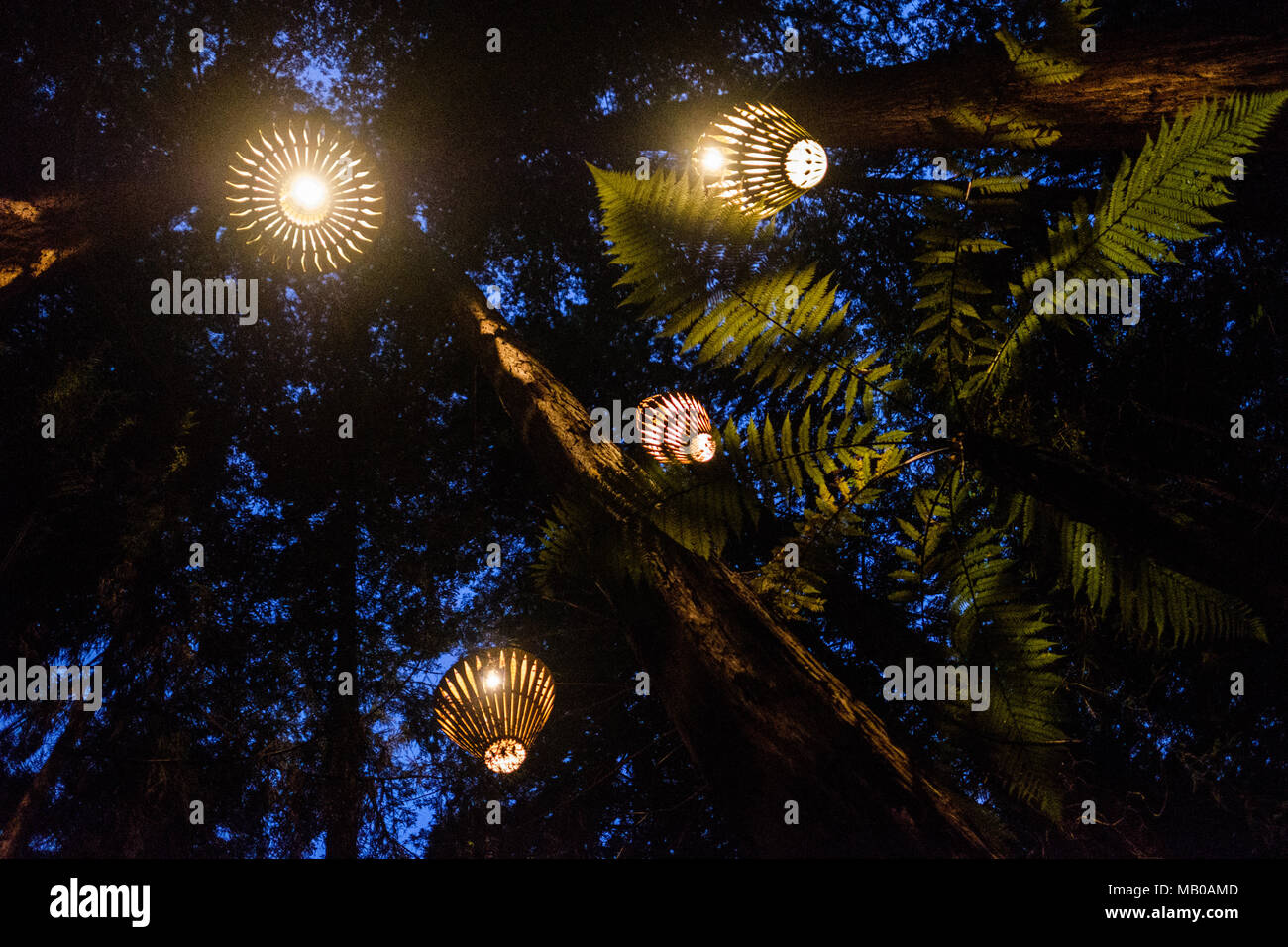 Rotorua, New Zealand November 11, 2017 Outdoor Lighting by David