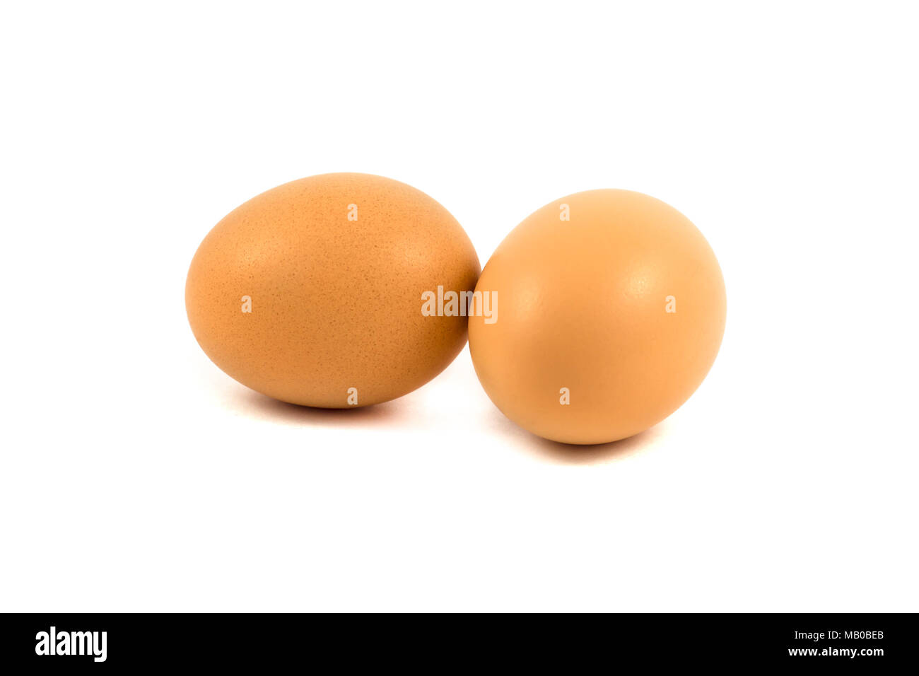 chicken eggs isolated on white background Stock Photo - Alamy