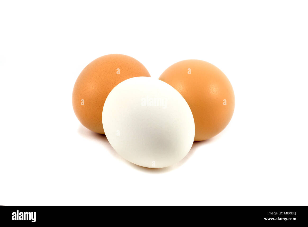 chicken eggs isolated on white background Stock Photo - Alamy