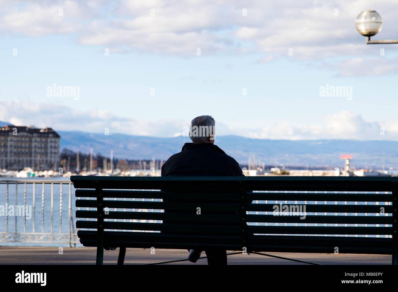Back Of Man Alone On Park Bench High Resolution Stock Photography and ...