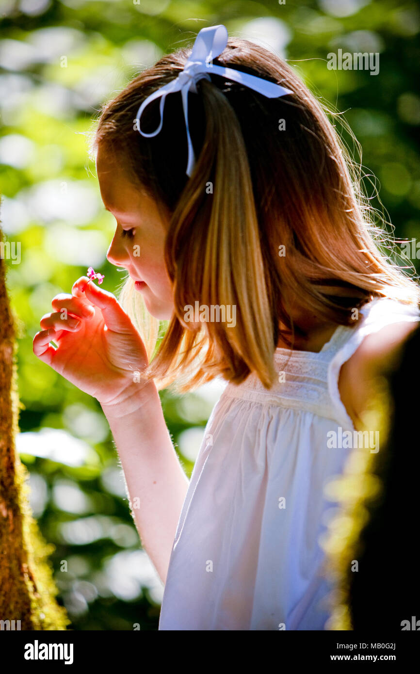 A pretty young Caucasian girl in white skirt smelling a tiny red flower at a park with back light and blurry green background Stock Photo