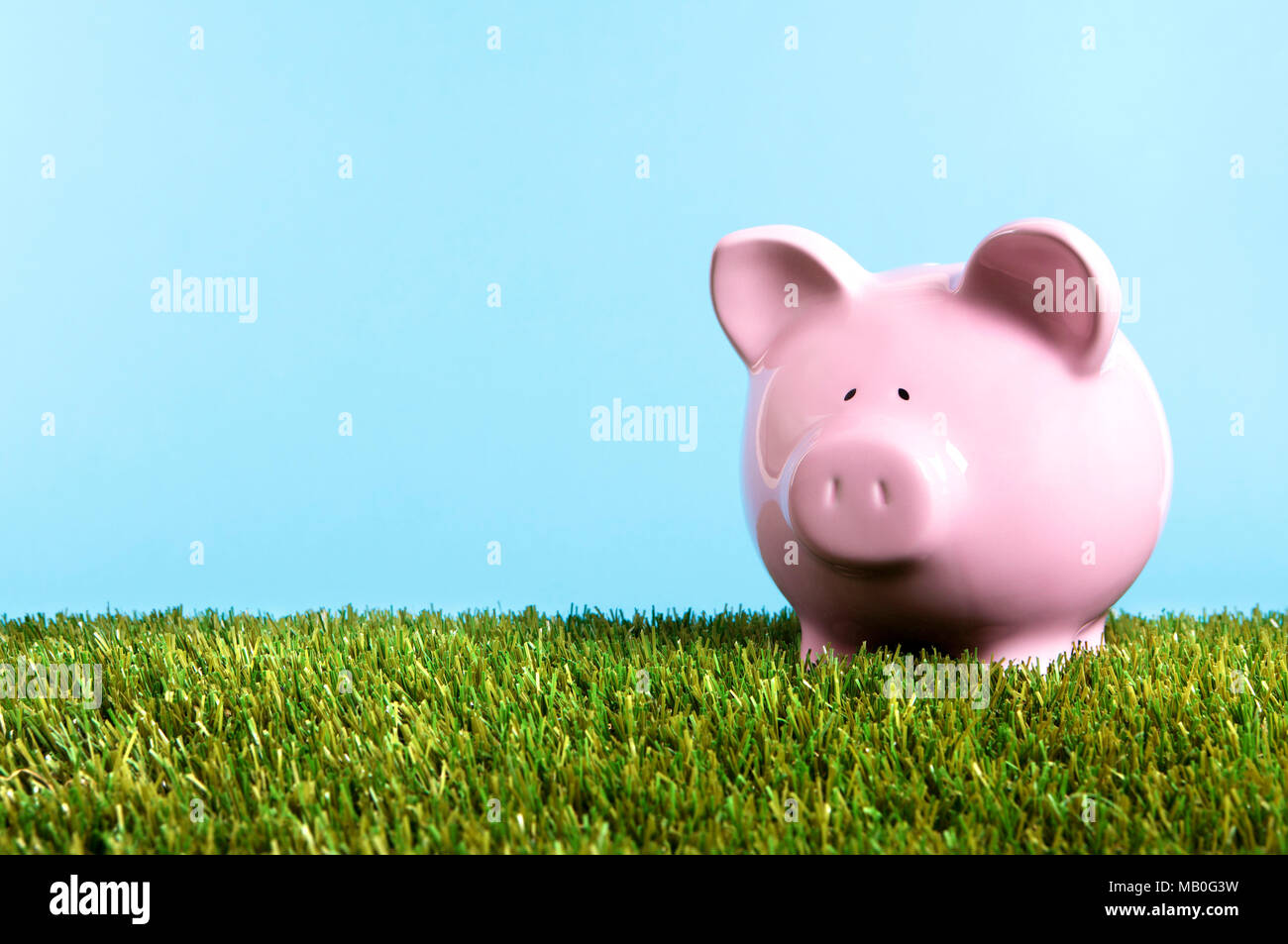 Pink piggy bank with grass and blue sky Stock Photo