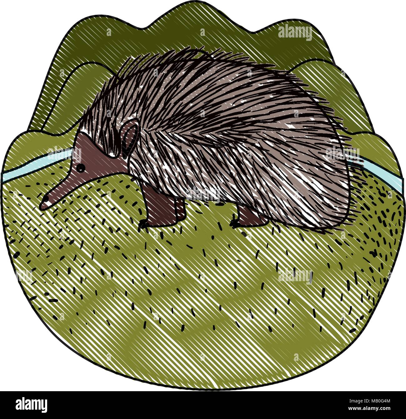 wild echidna australian creature in the camp Stock Vector Image & Art ...