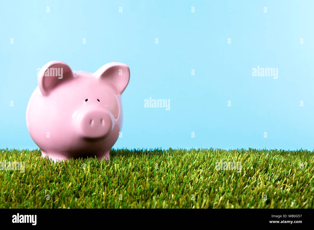 Pink piggy bank with grass and blue sky Stock Photo