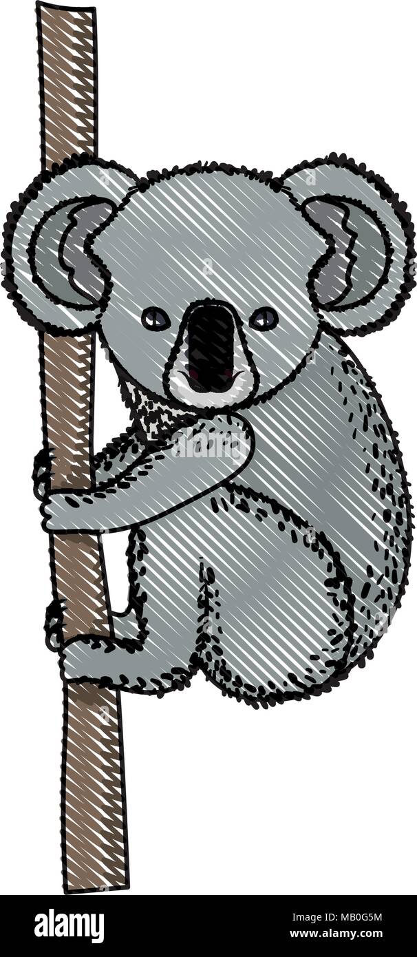 Koala hanging in tree hi-res stock photography and images - Alamy