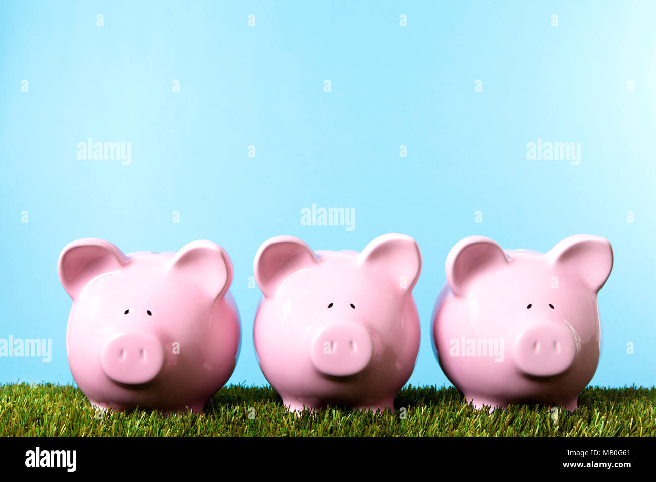 Three pink piggy banks on grass with blue sky.  Studio shot with plain blue background.  Space for copy. Stock Photo