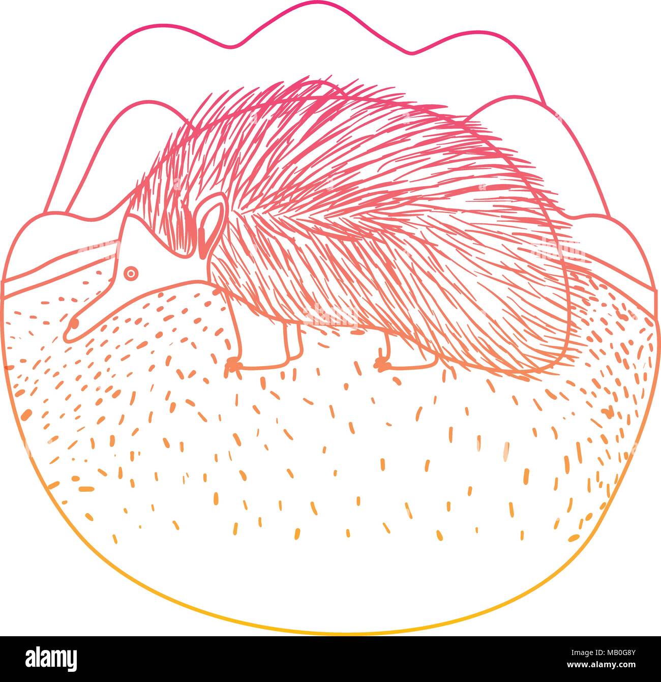 wild echidna australian creature in the camp Stock Vector Image & Art ...