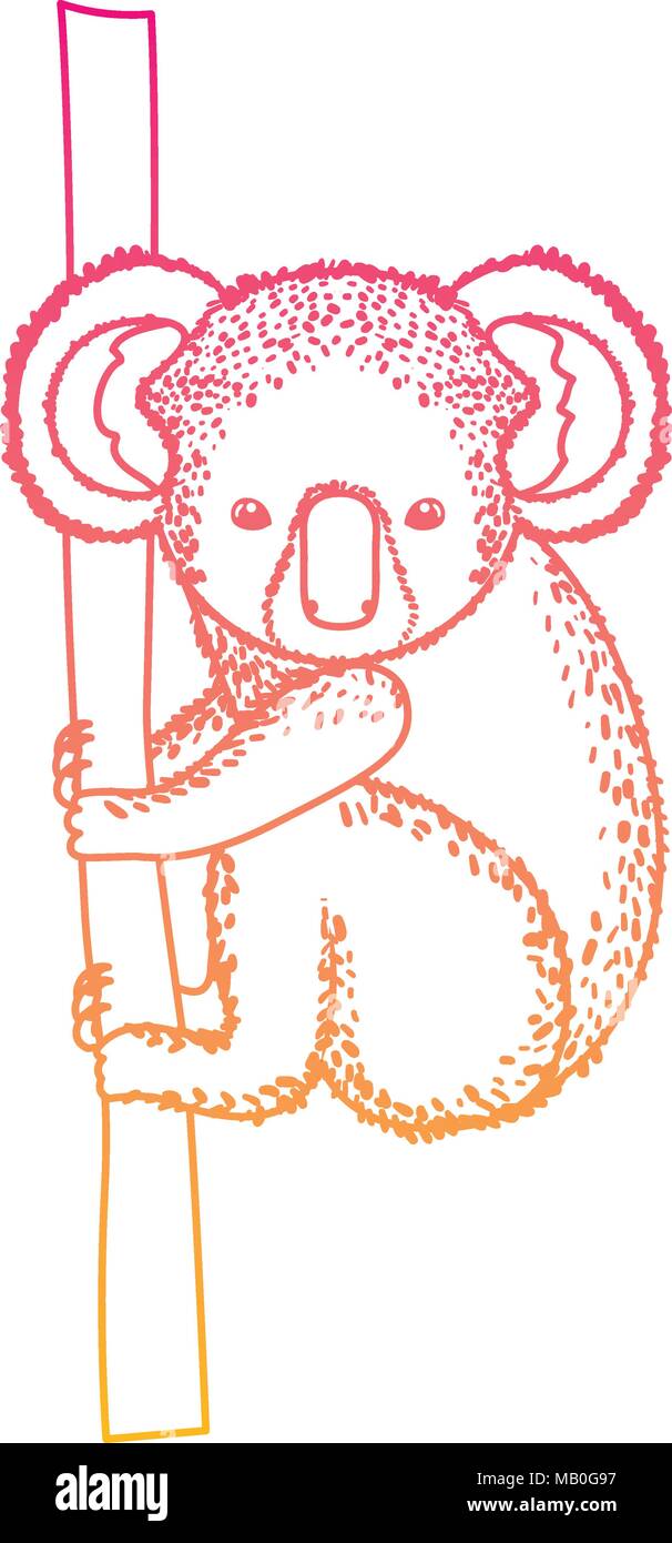 Wild Koala Australian Creature Hanging In Tree Stock Vector Art