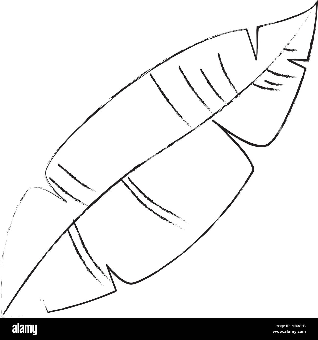 Turkey Feather Clipart Black And White