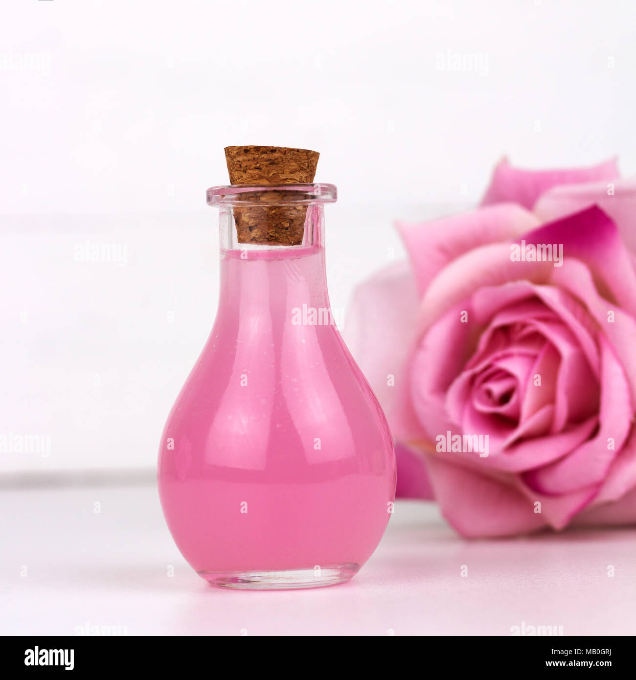 rose essential oil bottle blurred rose flower white background square Stock Photo