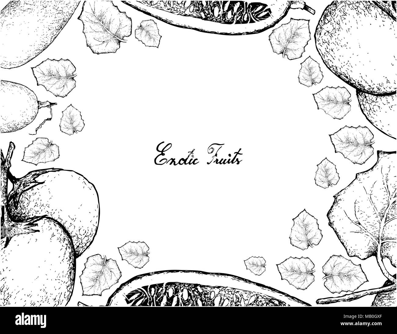 Vegetable and Fruit, Illustration Frame of Hand Drawn Sketch of Cubiu Cocona or Solanum Sessiliflorum and Cassabanana, Musk Cucumber or Sicana Odorife Stock Vector