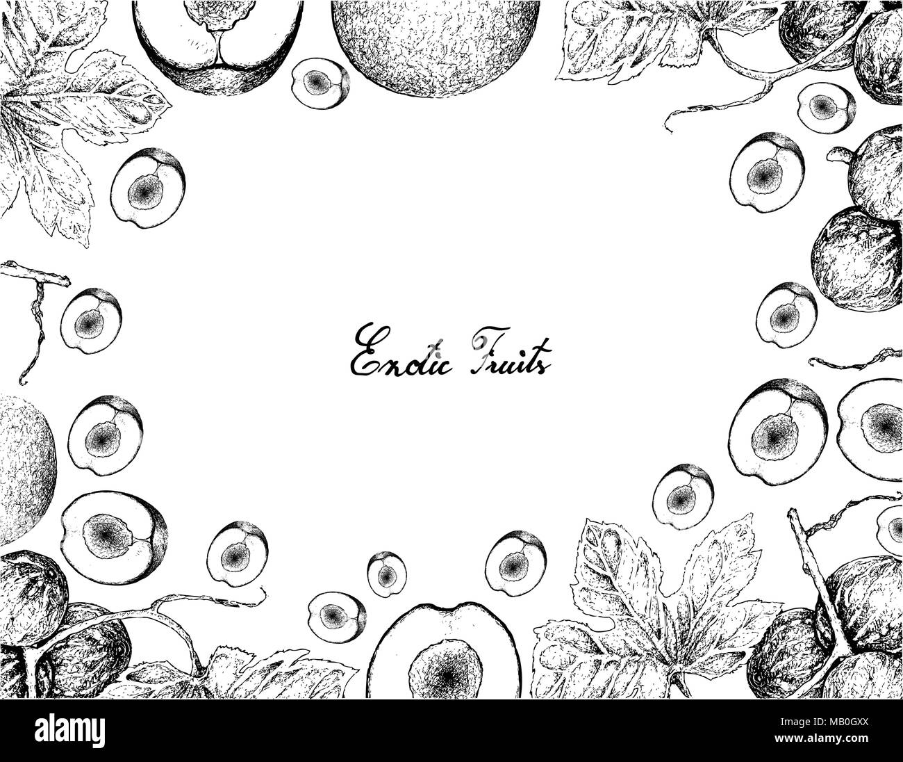 Vegetable and Fruit, Illustration Frame of Hand Drawn Sketch of Native Bryony, Striped Cucumber or Diplocyclos Palmatus and Davidson Plums or Davidson Stock Vector